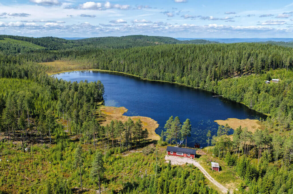 Nio kilometer in i skogen – här kan du bo ”helt off grid”